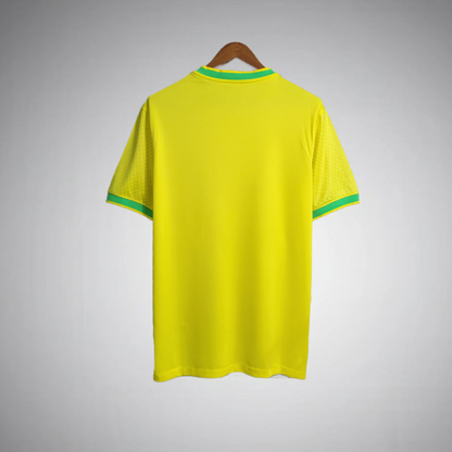 Brazil "Samba Wings" Special Kit